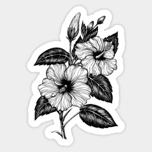 Hibiscus flower Sticker